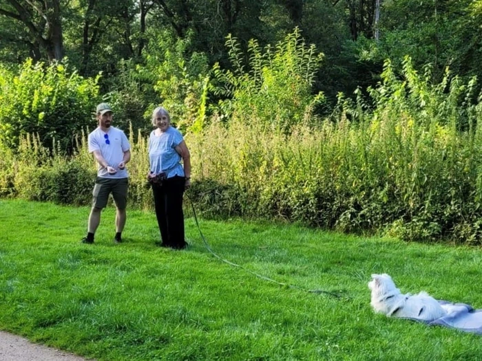 Verhaltensanalyse Hundetraining in Kiel