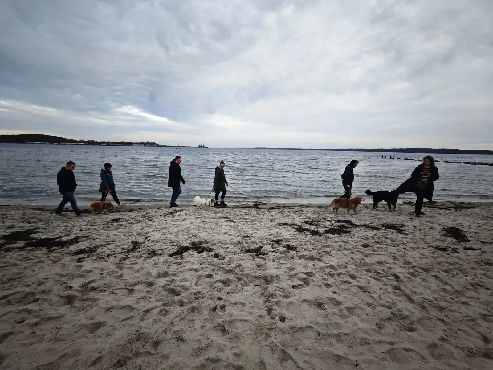 Hundeschule Eckernförde